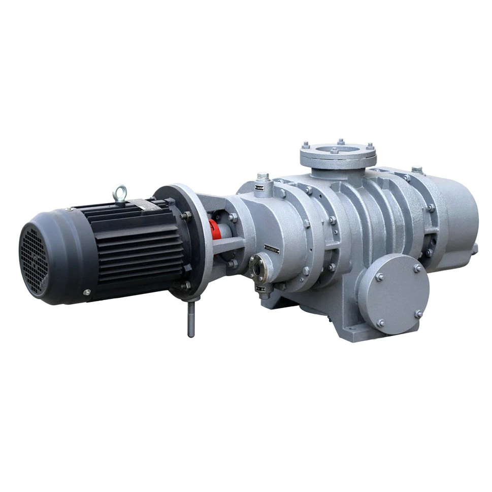 ZJ-30 Roots vacuum pump