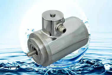 NEMA Stainless Steel Stepper Motor With Double Capacitor