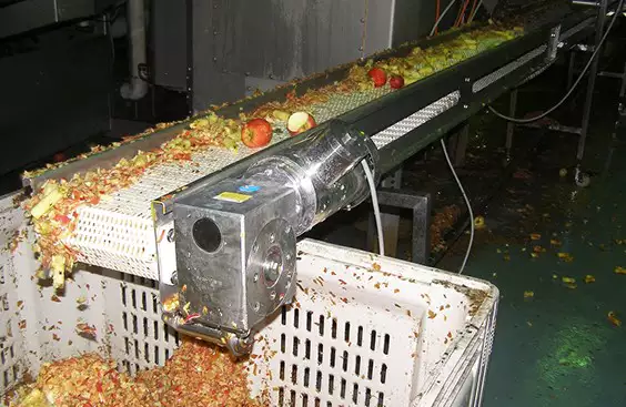 TENV Stainless Steel Washdown NEMA Motor With Single Capacitor