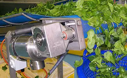 TEFC NEMA Stainless Steel Motor