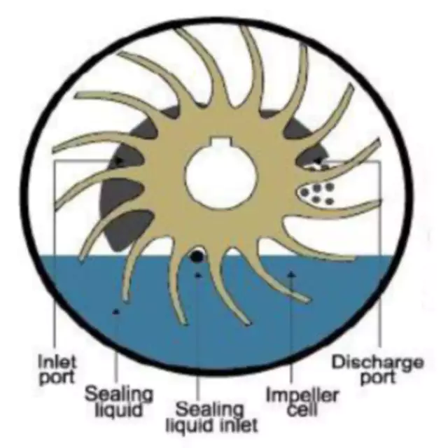 KLRC Two-Stage Water-ring Vacuum Pump Replacement Kinney KLRC100 KLRC125 KLRC200 KLRC300 KLRC525