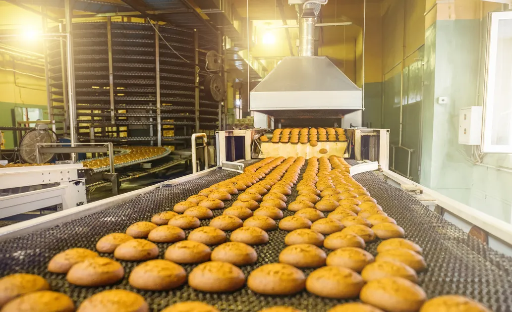 Cast Iron Chain F801 Crate Conveyor Chain CC Class