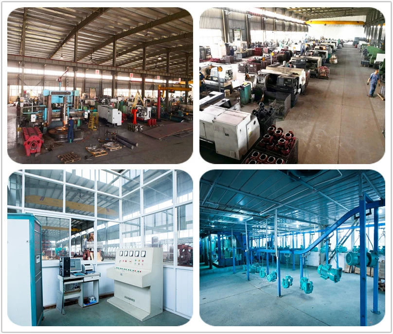 ZJB-300 Roots vacuum pump