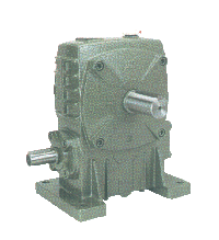 AY Series Worm Gear Reducer