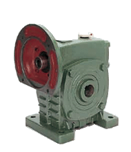 DKS Series Single Standard Worm Gear Reducer