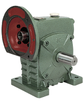 DS Series Single Standard Worm Gear Reducer WPDS