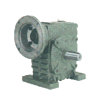 DSY Series Worm Gear Reducer
