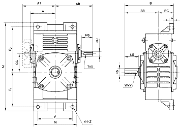 WOY Series Worm Gear Reducer