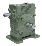 WA WS Series Worm Gear Reducer