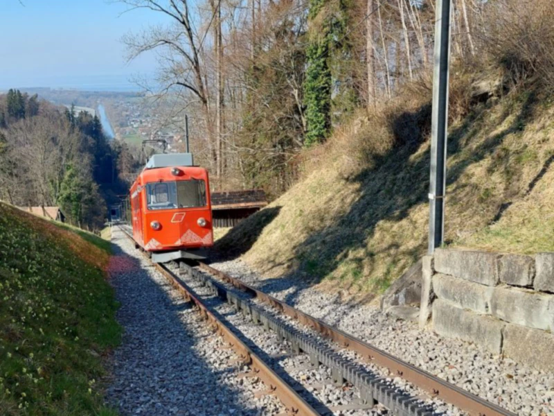 Gear Racks For Railway Axles Chinese manufacturer