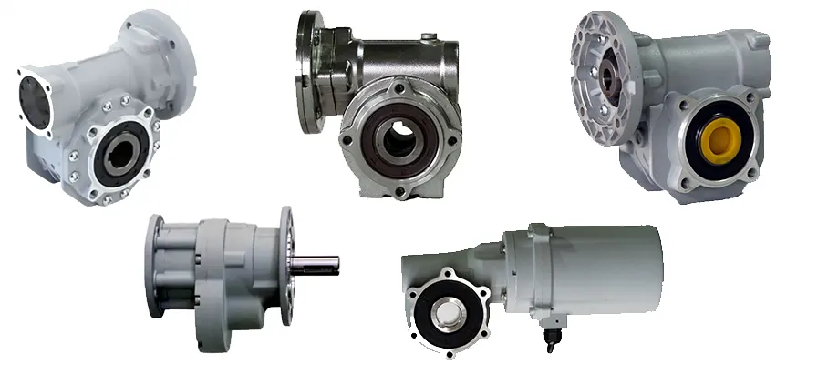 HSRV050 Worm Gear Reducer for Car Washing Machine