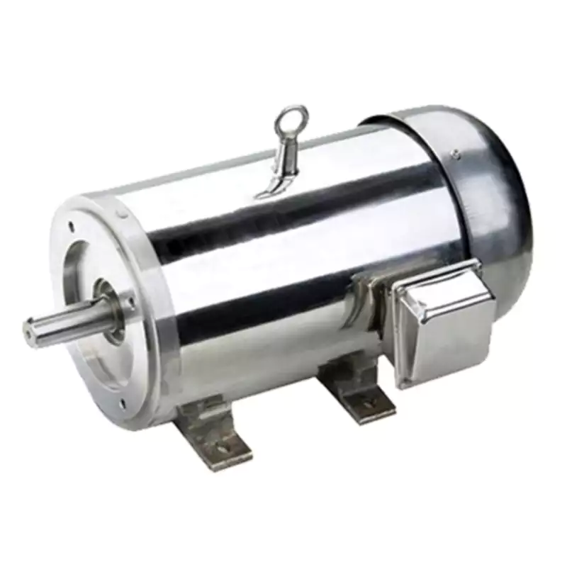 IEC Stainless Steel Motor B3 Foot Mounted TEFC