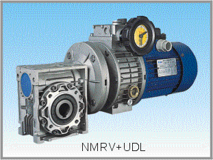 Combination of Reducer and Variators