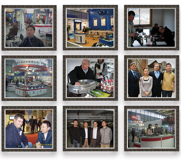 Gear Wheel and Gear Rack