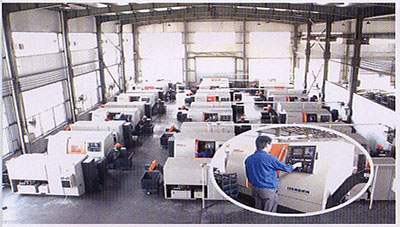 Gear Wheel and Gear Rack