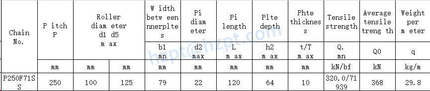 Conveyor Chains for Elevator P250F71SS