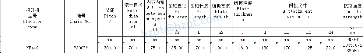 Conveyor Chains for Elevator P300F9 Elevator typeNE400