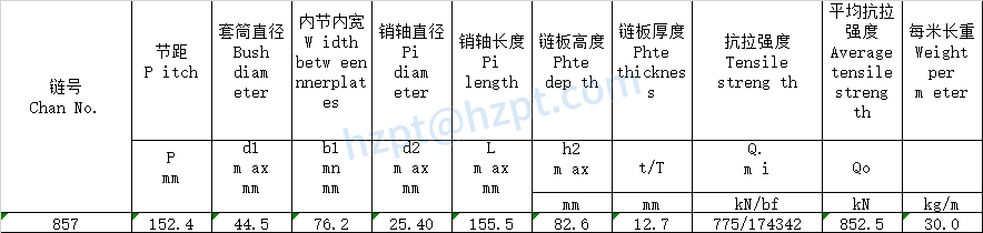 Conveyor Chains for Elevator 857