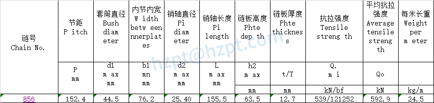 Conveyor Chains for Elevator 856