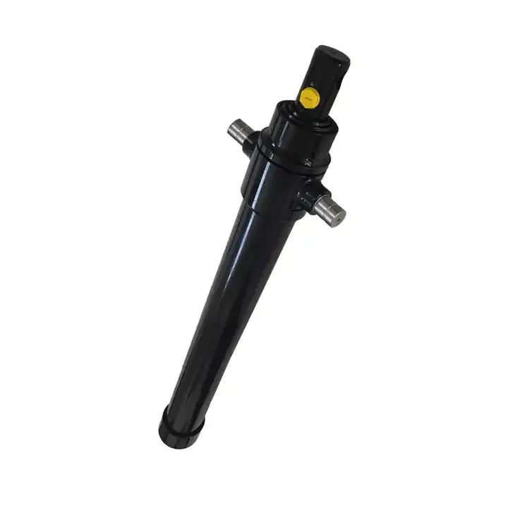 Excellent Quality Trailer Long Stroke Cylinder Hydraulic for Trailer