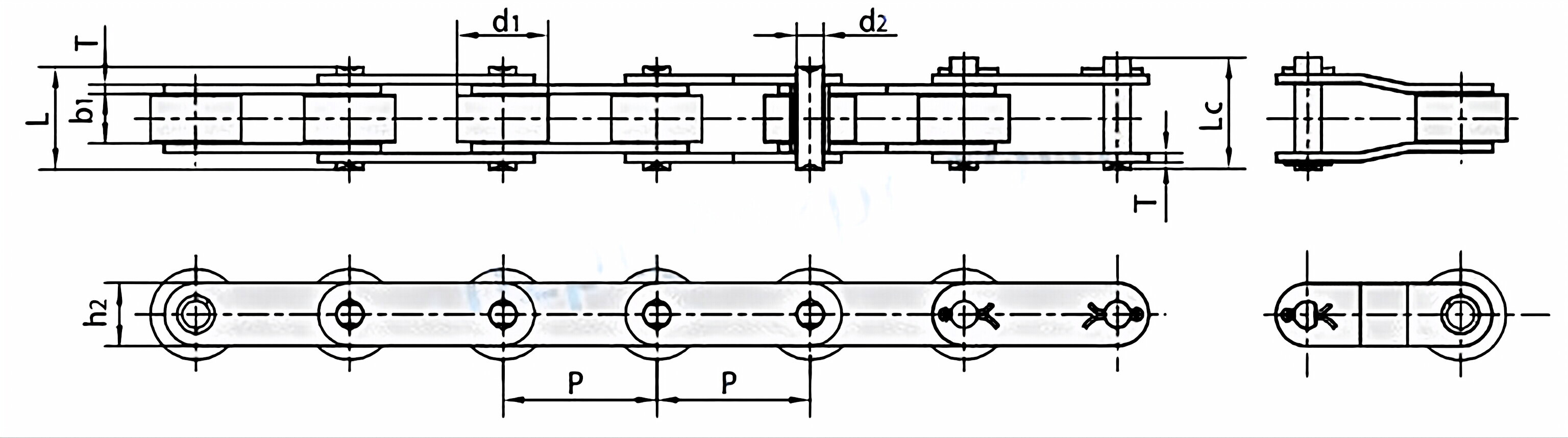 Non-Standard Double Pitch Conveyor Chains