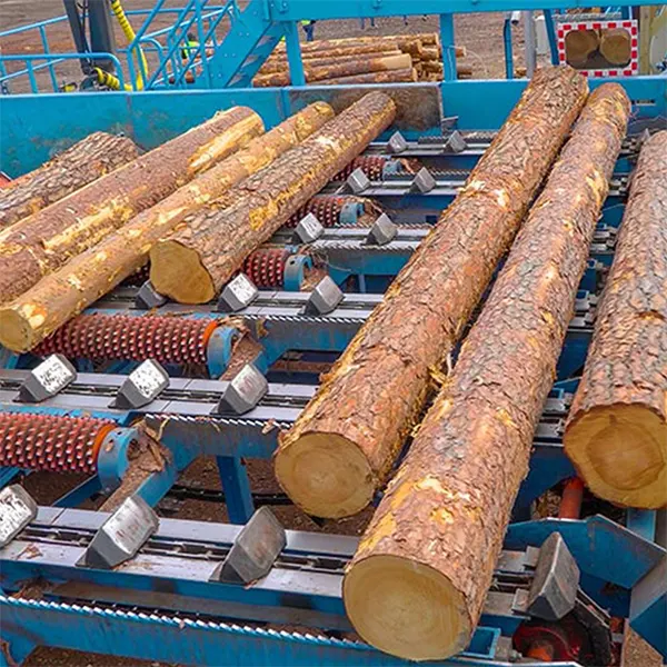 SS3939-B44 Stainless Steel Lumber Conveyor Chain