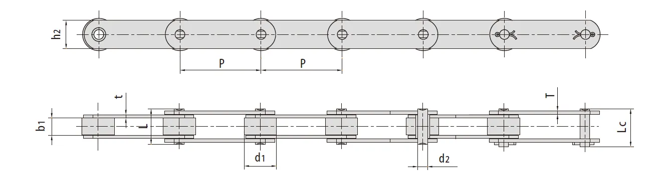 M Series Conveyor Chains M20 M28 M40 M56 M80 M112 M160 M224 M315 M450 Chain