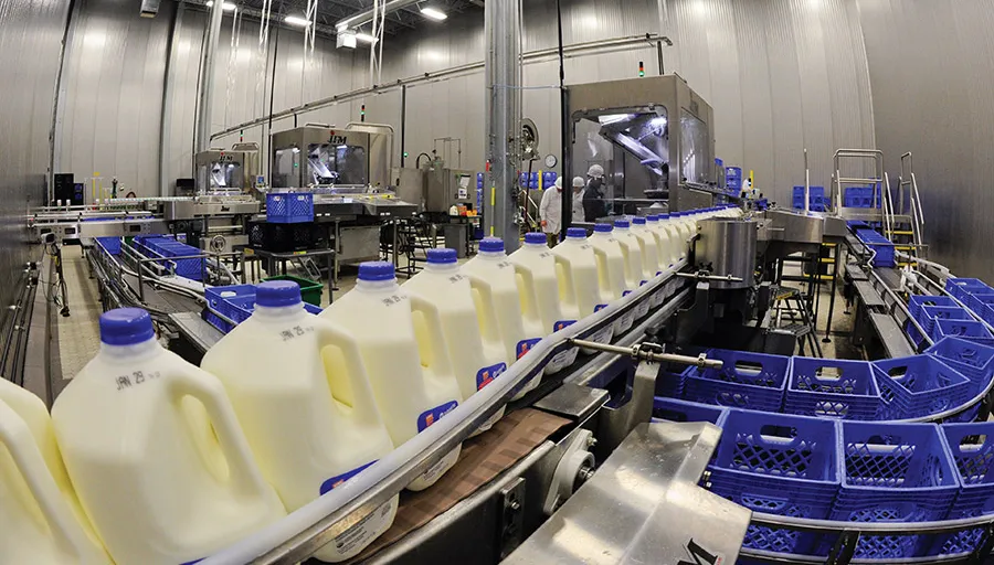 MC33 Double Flex Cast Iron Chain