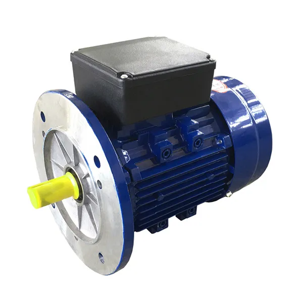 ML Series Capacitor Running and Starting Single Phase Asynchronous Motor