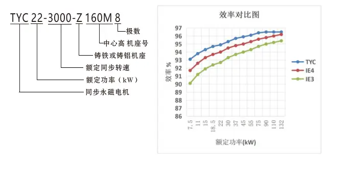 TYC series (IP55) Rare Earth Permanent Magnet Three-Phase Synchronous Motor