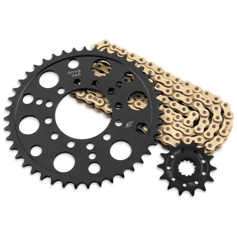 Reinforced Motorcycle Chain