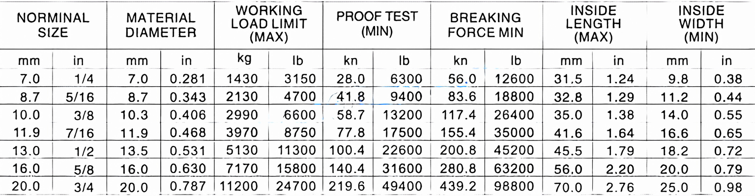 NACM2003 Standard Link Chain