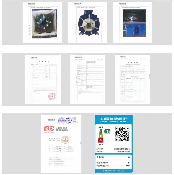 IE4 Series Three-Phase Asynchronous Motor