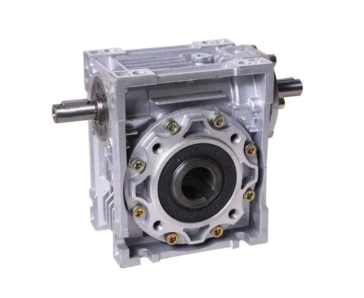 RDF-NRV-VS Dual Solid Shaft Input Worm Gearbox with Flange Output