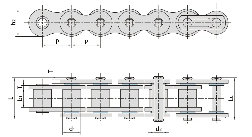 O Ring Chains 40OR/50OR/60OR/80OR/100OR/120OR/C80F3OR