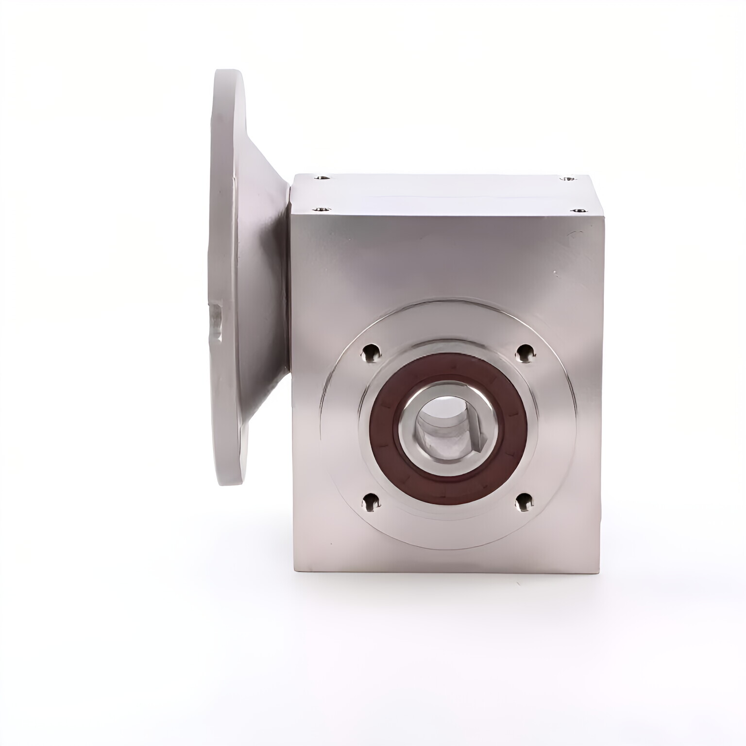 Stainless Steel Worm Gear Reducer