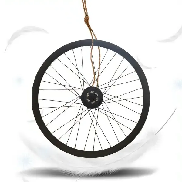 Raydafon P110 Environmental Friendly Ebike Conversion Kit 36V 250w Electric Bicycle Part Front Hub Motor