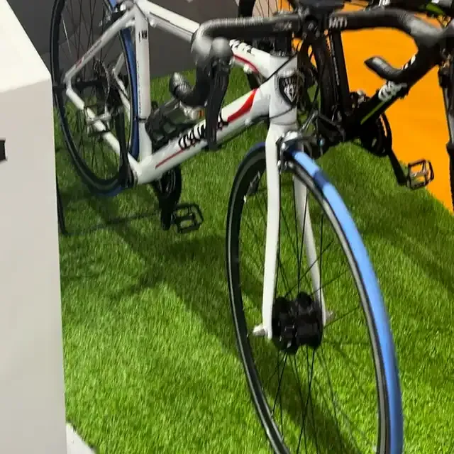 Raydafon Front Intelligent Brushless Hub Wheel Motor Electric Bike Conversion Kit Bicycle Hub Motor