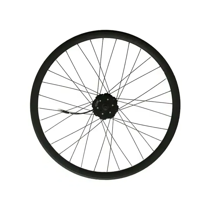 Raydafon Brushless Non-gear Hub Motor with controller electric bicycle conversion kit