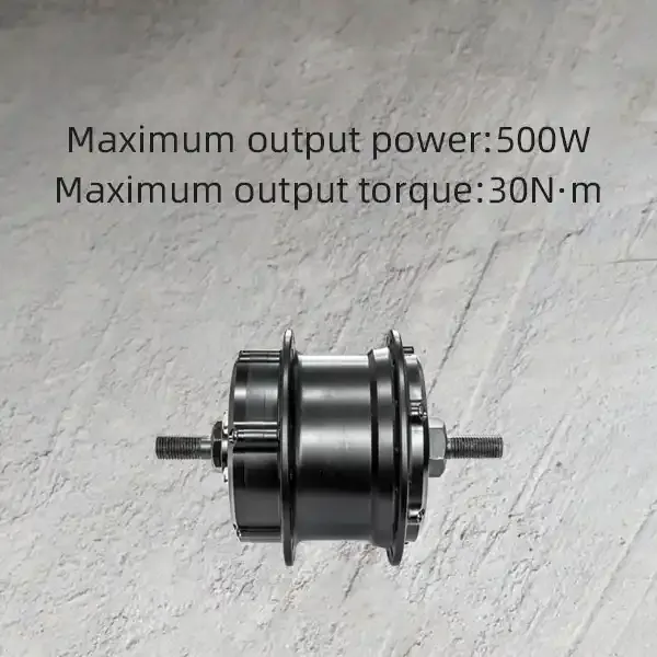 Raydafon P110 Front Hub Motor with Controller: A Quick Conversion Kit for E-Bike Hub DC Motor