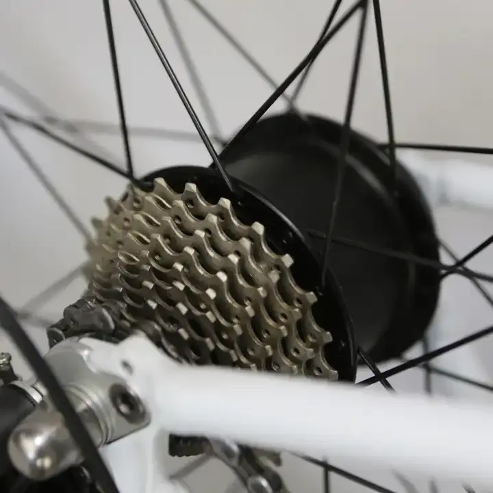 Factory Wholesale E-bike Motor Conversion Kit Europe Bike System