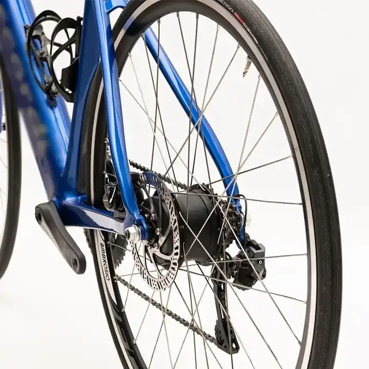 Raydafon Motor Small Light Mini Wireless Motor for eBike