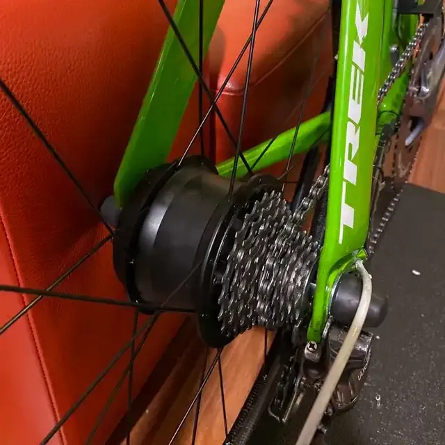 P110SWXRDC36 Rear Motor Disc-Brake 36V 250W TFT Function