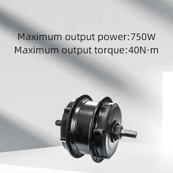 Raydafon P110 Front Motor Wheel with Controller Quick Conversion Kit for Ebike