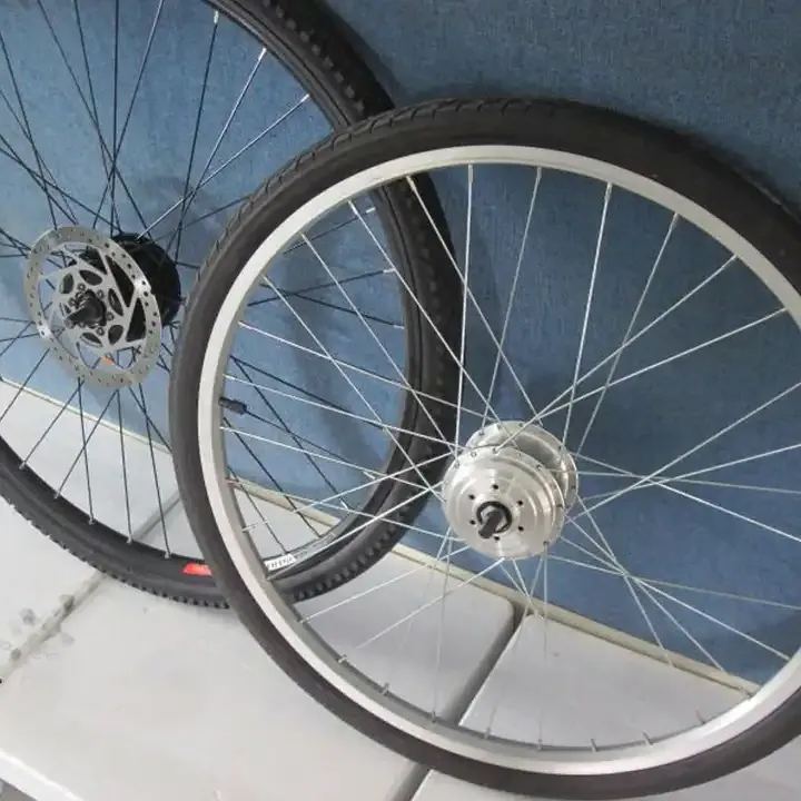 Electric Bicycle Motor Kit Raydafon P110 V Brake Bike Motor Set