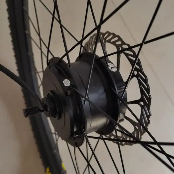 German Warehouse Raydafon Motor for Ebike