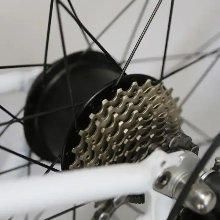 High Torque Brushless 750W Electric Bicycle Disc Brake Motor