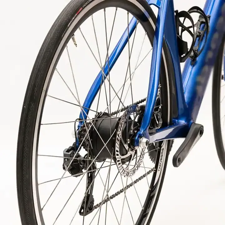 Raydafon 250w Rear Hub Motor Bicycle Conversion Kit