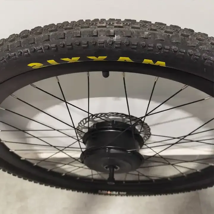 Ebike Conversion Kit All Terrain Electric Wheel Hub Motor 24V 30V 36V Type Brushless with Built-in Battery Control