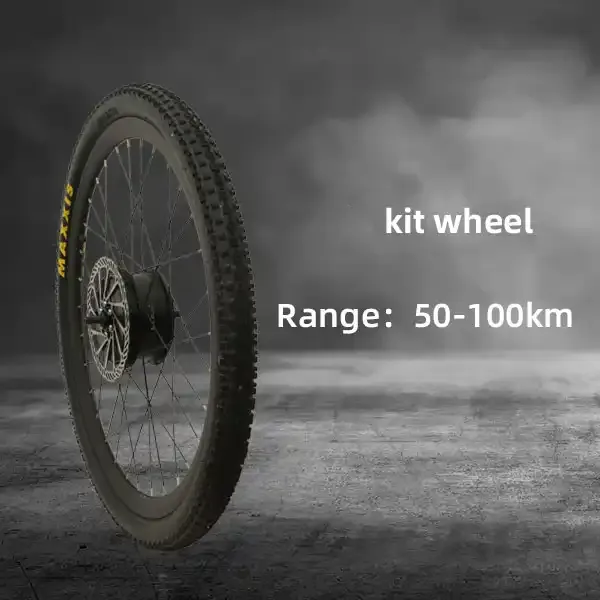 Raydafon All-In-One Motor P130 for Electric Bicycle: App Wireless Display Control